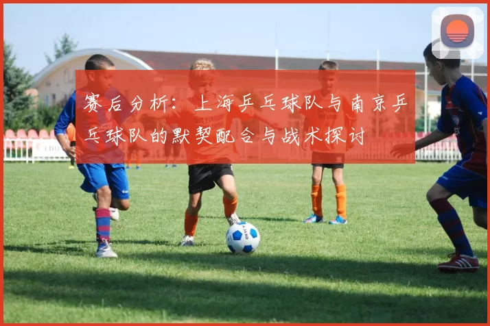 赛后分析：上海乒乓球队与南京乒乓球队的默契配合与战术探讨
