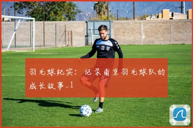 羽毛球纪实：记录南京羽毛球队的成长故事_1