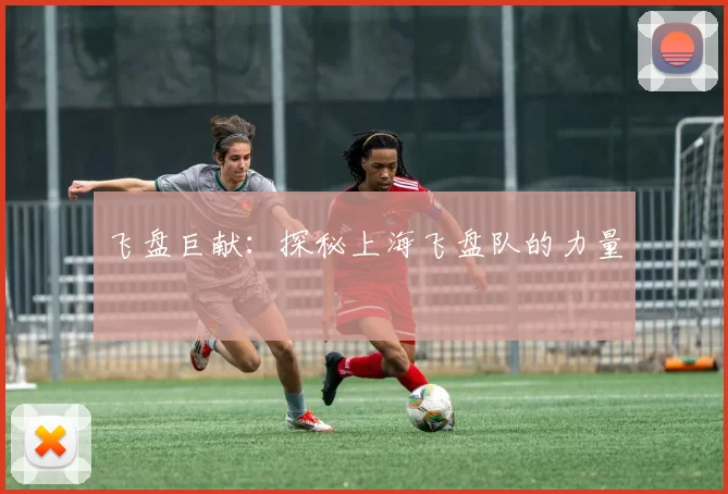 飞盘巨献：探秘上海飞盘队的力量