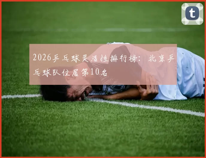 2026乒乓球灵活性排行榜：北京乒乓球队位居第10名