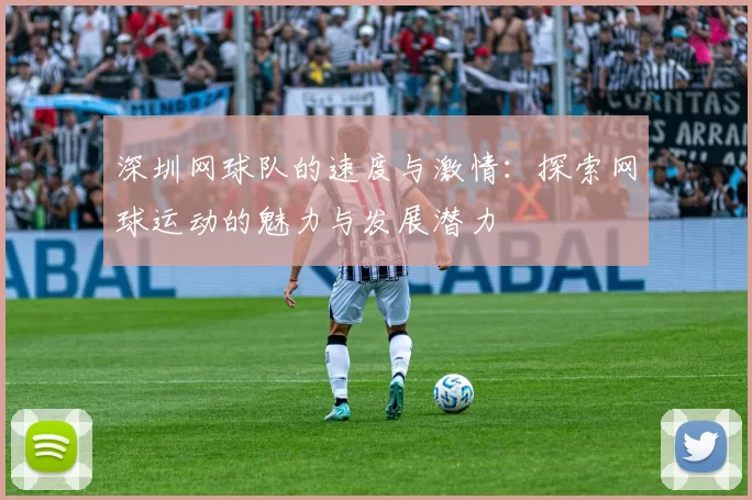 深圳网球队的速度与激情：探索网球运动的魅力与发展潜力